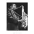 Poster John Coltrane - QueroPosters.com