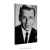 Poster Frank Sinatra na internet