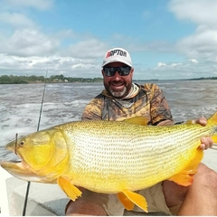 Imagen de DORADO MISTICO