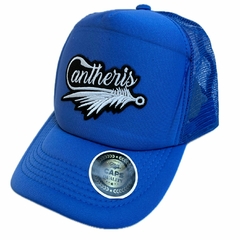 Gorra Trucker Visera Curva Regulable Cantheris Santa Fe.