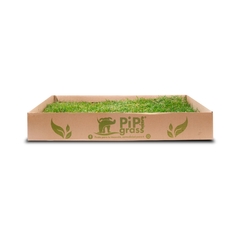 Pipiplan estándar 3 meses - comprar online