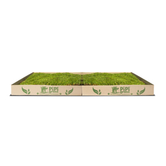 Pipiplan XL 7 - comprar online