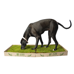 Pipigrass XL - tienda online