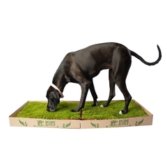Pipiplan XL 3 meses - comprar online