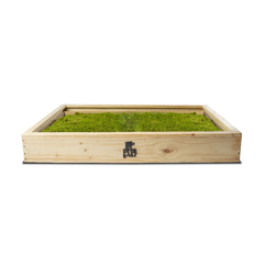 Pipi Marco Interiores (Regular) - comprar online