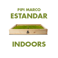 Pipi Marco Interiores (Regular)
