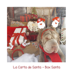 Box Santa - 3 hermanos - comprar online