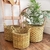 Canasto JUNCO | MEDIANO | - MERLINA home♡deco