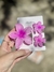 Kit com 3 presilhas flor - loja online