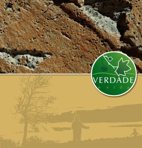 CD VVCD 99/98 - VENHA ANTES DO INVERNO/ O NOVO MANDAMENTO