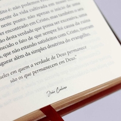 DIA A DIA COM CALVINO - Devocional - Capa Dura na internet