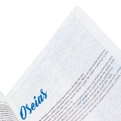 NA063BLE - POMBA: BÍBLIA O LIVRO DA ESPERANÇA - LPC - Loja Virtual