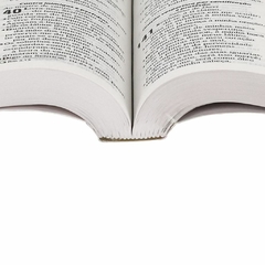 RA060LG - BÍBLIA SAGRADA LETRA GRANDE RAMOS - comprar online