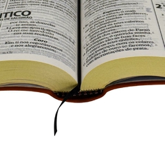 RA065LGIe - BÍBLIA SAGRADA LETRA GIGANTE - Linha Ouro Vermelha na internet