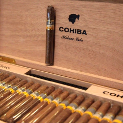 Cohiba Shorts Humidor Colección x 50 unidades - La Casa del Habano