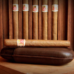 Hoyo de Monterrey Palmas Extra - X 25 unidades caja cerrada - comprar online