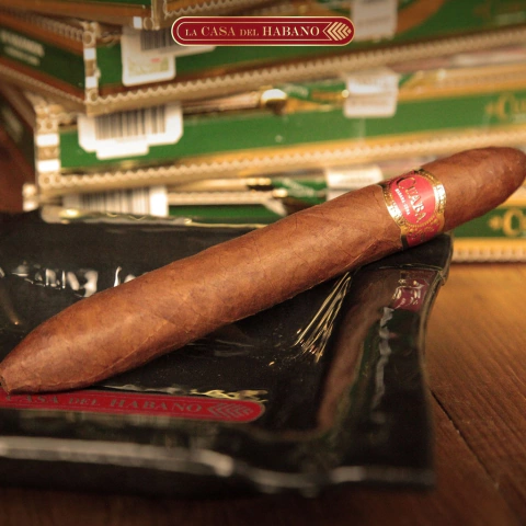 Cuaba Salomón - x10 Unidades Caja Cerrada