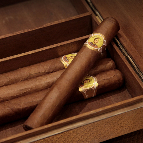 Bolivar Petit Coronas - X 25 Unidades caja cerrada - comprar online