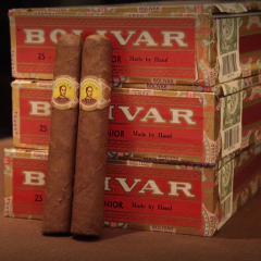 Bolívar Coronas Junior - Unidad