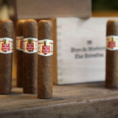 Hoyo de Monterrey Petit Robustos - X 25 Unidades caja cerrada