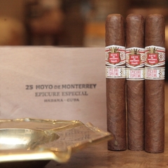 Hoyo de Monterrey Epicure Especial - X 10 unidades caja cerrada