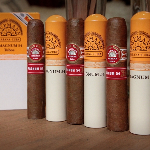 H. Upmann Magnum 54 Tubo - Unidad