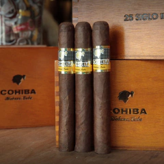Cohiba Siglo II - Unidad
