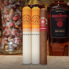 H. Upmann Magnum 50 Tubo - Unidad