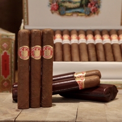 Saint Luis Rey Regios- X 25 Unidades caja cerrada