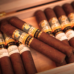 Cohiba Maduro 5 Secretos - Unidad