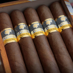 Cohiba Siglo VI - X 10 unidades caja cerrada