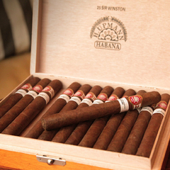 H. Upmann Sir Winston - X 25 unidades caja cerrada - comprar online