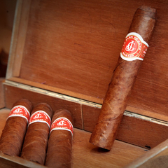 Flor de Cano Elegidos - Unidad en internet