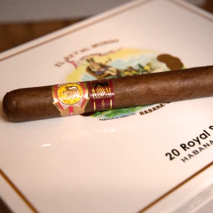 Rey del Mundo Royal Series - x 20 Unidades caja cerrada - comprar online