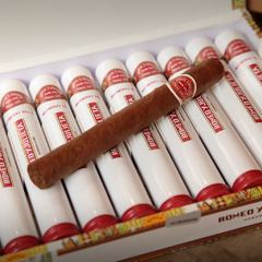 Romeo y Julieta Romeo Nº1 Tubo - X 10 Unidades caja cerrada - comprar online