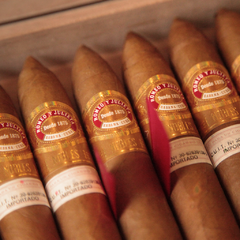 Romeo y Julieta Nobles - x 20 unidades caja cerrada - comprar online
