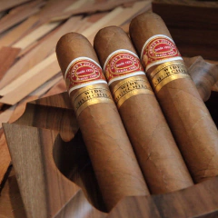 Romeo y Julieta Wide Churchill - X 10 Unidades caja cerrada - comprar online