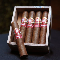 H. Upmann Magnum 54 - X 25 unidades caja cerrada - comprar online
