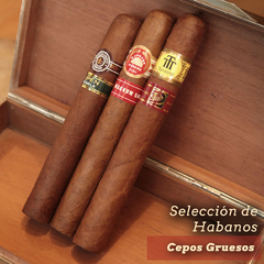 Selección #18 - Cepo Grueso