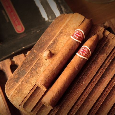 Romeo y Julieta Belicosos - X 25 Unidades caja cerrada