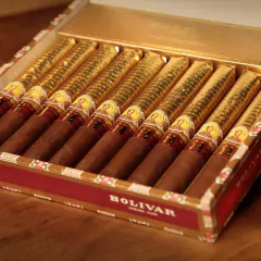 BOLIVAR NEW GOLD MEDAL