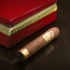 Romeo y Julieta Hidalgos - x 20 unidades caja cerrada - tienda online