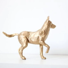 Pastor Malinois Belga