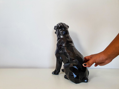 Urna I Rottweiler na internet