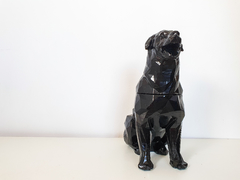 Urna I Rottweiler