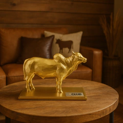 Troféu Boi Nelore - comprar online