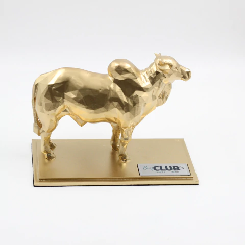 Troféu Boi Nelore na internet