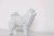 Chow Chow I Fucinho Curto I Mod.01 I Escultura - GRIFTA