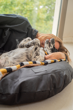 Banner de la categoría DESCANSO