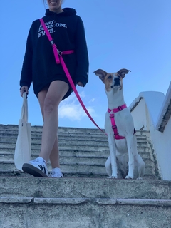 Banner de la categoría Manos libres